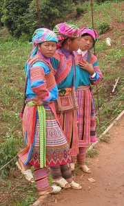 Вьетнамцы Цветочные_хмонги
